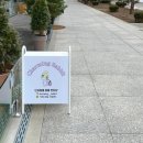 챠밍애견 이미지