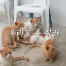 유튜브보는데 어떤할아버지가 이미지