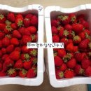 달코미상회 이미지