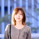 팡팡 이미지