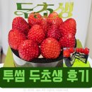 투썸플레이스천안신불당파크점 | [천안 두초생] 투썸플레이스 천안신불당파크점 | 시즌 한정 두초생 후기🍰🍰