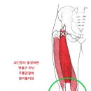 요동환경 이미지