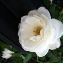 성아미용실 이미지