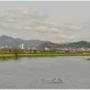 조례호수공원 이미지