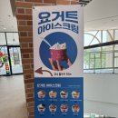 요아정 갈매점 | 갈매 디저트 맛집 요거트 아이스크림 '요아정' 구리 갈매점 내돈내산 후기