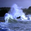 바다랑파도랑 이미지