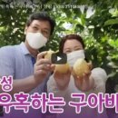 빈스구아바농장