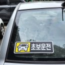 비비물랭
