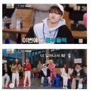 비견 | 단식)우주소녀"다영"을 통해서 알아보는 비견운!(p.s:내가1순위)