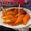 광장65호 이미지