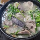 돌배야영장제1야영장 이미지