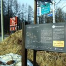 임계면지소 이미지