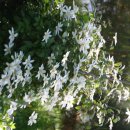 전원어린이집 이미지