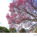 양지마을회관 이미지