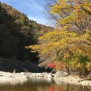 10/24(목)오대산 선재길 단풍산행/송우대장님 이미지