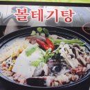 태평양볼테기 이미지