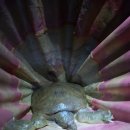 산들 낚시터 이미지