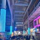 올레도야지