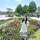 순천만풍경 | 순천만국가정원 6월 풍경 입장료 지도 워케이션 코스 안내