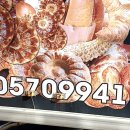 투르키스탄 TURKISTAN 이미지