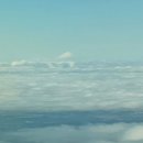 731 | 에어프레미아 도쿄 YP731 탑승 후기, 인천공항 1터미널 스타벅스 추천