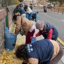 이면도로 이미지