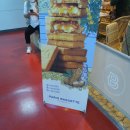 파리바게트 장승포점 | 제주공항 파리바게트 위치, 마음샌드 대신 한라봉롤케익