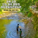 구미 대구 근교 김천 계곡 캠핑장 옥당걸숲속관광농원 솔직후기