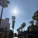 제주궁전 | 제주 롯데호텔 수영장 온수풀 후기｜겨울밤 라이브공연과 따뜻한 감성까지