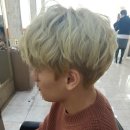 프로헤어스칼렛