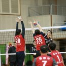 해적캡틴 이미지