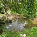 산골초가 이미지