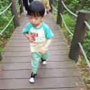 동강우체국 이미지