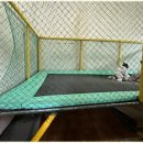 신동태권도 이미지