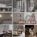 손길펜션 | 강화도 자쿠지 펜션 '호텔 무무' 내돈내산 후기