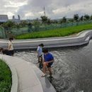 흥해읍 참새미 이미지