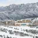 소노벨, 소노문 델피노 이미지