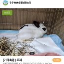 광주TNR동물병원(송정) 네이버블로그