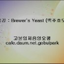 특강 영양학(Brewer's Yeast) 이미지