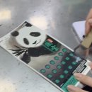 채원복권 이미지