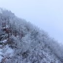 ◈ 제1,605차 2월4일 충북제천 월악산 영봉(1,097m) 눈꽃산행 예약방 이미지