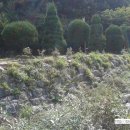 안양한증원 이미지