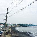 버스정류소_공천포 | 제주도 운전 초보가 하기에 어때요?