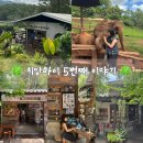 YELLOW PIZZA | ˚✧₊⁎ 치앙마이 2주살기 ep.5 ⁎⁺˳✧༚