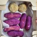 쌍치중학교 이미지