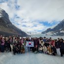 캐나다 록키7일 여행후기 이미지