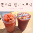 [할리스커피] "엘모의 딸기스무디" 구슬 아이스크림...신메뉴 리뷰! "수박주스"까지 공덕역 북카페 마포