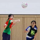 Netball Match 이미지