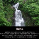 펜션피아 이미지