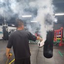 정일복싱 이미지